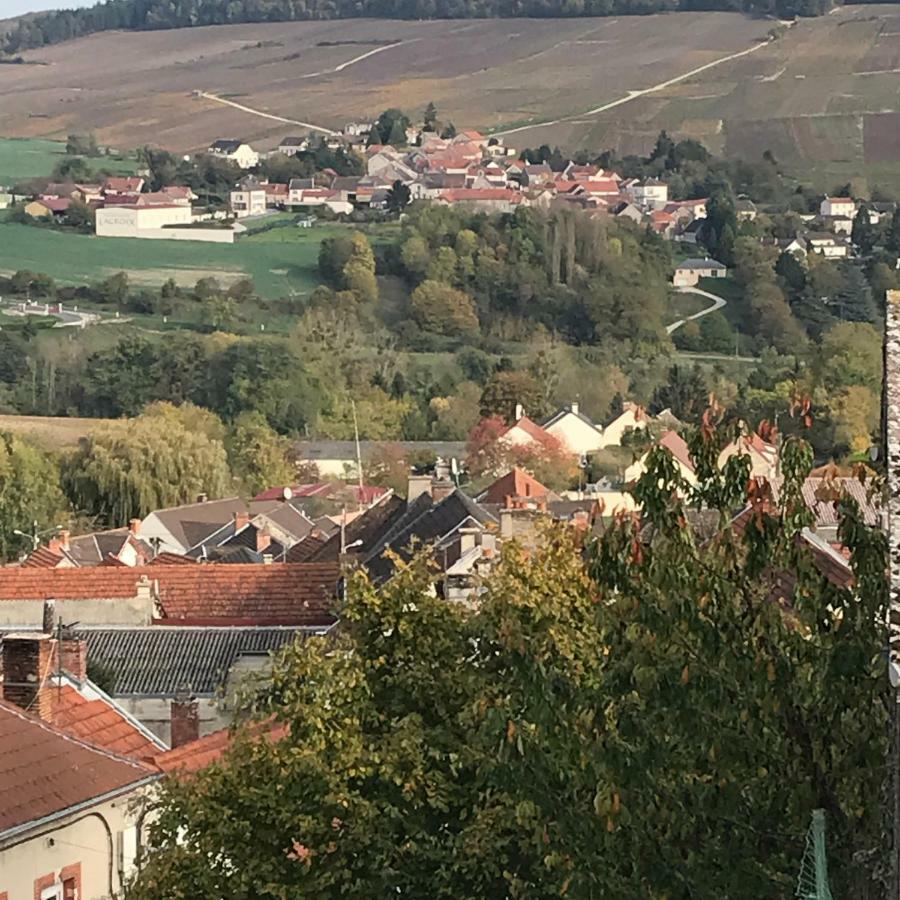 Chambres D'Hotes Karine Smej Châtillon-sur-Marne Exteriör bild